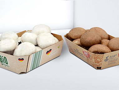 Grass cardboard trays for fruit and vegetables